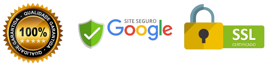 Site seguro, Google e SSL